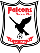 Ottawa Falcons
